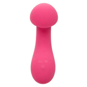 CALEXOTICS - PIXIES EXCITER ROSA CALEXOTICS