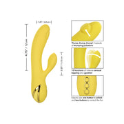 CALEXOTICS - SAN DIEGO VERFÜHRUNG CALEXOTICS