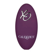 CALEXOTICS - FERNBEDIENUNG DUAL RIDER CALEXOTICS