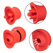 CALEXOTICS - FRENCH KISS SUCK & PLAY SET CALEXOTICS