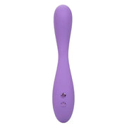 CALEXOTICS - CONTOUR DEMI VIOLET CALEXOTICS
