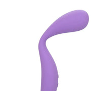 CALEXOTICS - CONTOUR DEMI VIOLET CALEXOTICS