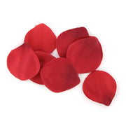 EXTASE SENSUAL - ROTE VERSUCHUNGSTRUHE EXTASE SENSUAL