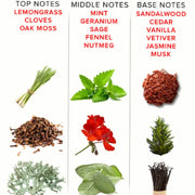 EYE OF LOVE - EOL PHEROMON PARFUM 10 ML - ROMANTIC EYE OF LOVE