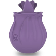 INTENSE - VIOLETT CL TORIS STIMULATOR 10 VIBRATIONEN FLIEDER INTENSE FUN