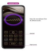 PRETTY LOVE - ELVIRA PINK WIEDERAUFLADBARE VIBRIERBLLE PRETTY LOVE SMART