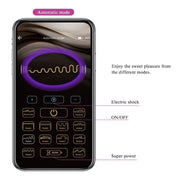 PRETTY LOVE - JEFFERSON APP-GESTEUERTER ANALPLUG SCHWARZ PRETTY LOVE BOTTOM