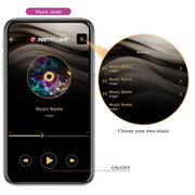 PRETTY LOVE - JAYLEEN VIBRATOR MIT APP-FERNBEDIENUNG LILA PRETTY LOVE LED