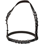CALEXOTICS - EUPHORIA PLUS SIZE HALTER BUCKLE HARNESS SCHWARZ CALEXOTICS