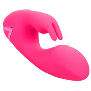 CALEXOTICS - SO. CAL SUNSHINE VIBRATOR RABBIT FUCHSIA VON CALIFORNIA DREAMING CALEXOTICS