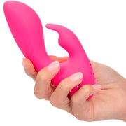 CALEXOTICS - SO. CAL SUNSHINE VIBRATOR RABBIT FUCHSIA VON CALIFORNIA DREAMING CALEXOTICS