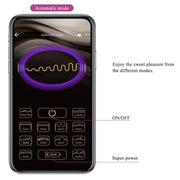 PRETTY LOVE - BAIRD G-SPOT 12 VIBRATIONEN WIEDERAUFLADBAR LILA APP PRETTY LOVE FLIRTATION