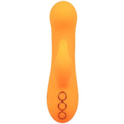 CALEXOTICS - MONTECITO MUSE VIBRATOR RABBIT ORANGE VON CALIFORNIA DREAMING CALEXOTICS