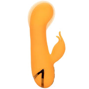 CALEXOTICS - MONTECITO MUSE VIBRATOR RABBIT ORANGE VON CALIFORNIA DREAMING CALEXOTICS