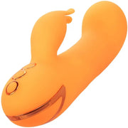 CALEXOTICS - MONTECITO MUSE VIBRATOR RABBIT ORANGE VON CALIFORNIA DREAMING CALEXOTICS