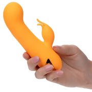 CALEXOTICS - MONTECITO MUSE VIBRATOR RABBIT ORANGE VON CALIFORNIA DREAMING CALEXOTICS