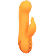 CALEXOTICS - MONTECITO MUSE VIBRATOR RABBIT ORANGE VON CALIFORNIA DREAMING CALEXOTICS