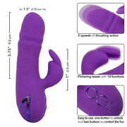CALEXOTICS - MANHATTAN BEACH MARVEL VIBRATOR RABBIT LILA VON CALIFORNIA DREAMING CALEXOTICS