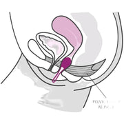 FUN FACTORY - SMARTBALL UNO BECKEN BALL WEISS / PASTELL LILA FUN FACTORY