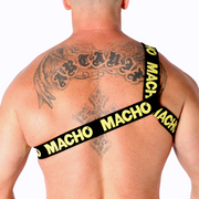 MACHO - RÖMISCHES GESCHIRR PRIDE L/XL MACHO UNDERWEAR