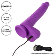 CALEXOTICS - STUDS WIEDERAUFLADBARER UND ROTIERENDER VIBRATOR 10 VIBRATIONEN LILA CALEXOTICS