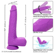 CALEXOTICS - STUDS WIEDERAUFLADBARER UND ROTIERENDER VIBRATOR 10 VIBRATIONEN LILA CALEXOTICS