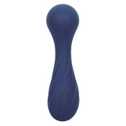CALEXOTICS - CHARISMA TEMPTATION MASSAGER 12 FUNKTIONEN LILA CALEXOTICS