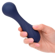 CALEXOTICS - CHARISMA TEMPTATION MASSAGER 12 FUNKTIONEN LILA CALEXOTICS