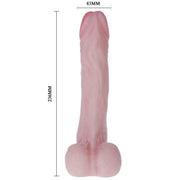 BAILE - NATÜRLICHER REALISTISCHER HAHNDILDO BAILE DILDOS