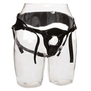 CALEXOTICS - HERE ROYAL HARNESS THE QUEEN IN EINER GRÖSSE CALEXOTICS