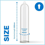 PASANTE - KONDOM NATURELLE REIHE 144 EINHEITEN - ENGEFREUNDE.COM