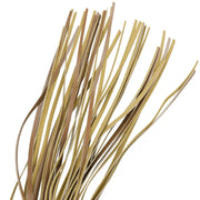 FETISH SUBMISSIVE ORIGEN - VEGANE LEDERPEITSCHE - ENGEFREUNDE.COM