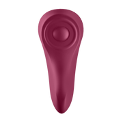 SATISFYER - SEXY SECRET PANTY SATISFYER CONNECT